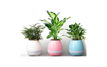 Оригинальная колонка SMART MUSIC FLOWERPOT